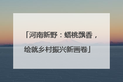 河南新野：蟠桃飘香，绘就乡村振兴新画卷