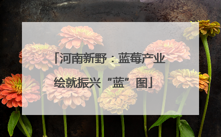 河南新野：蓝莓产业绘就振兴“蓝”图
