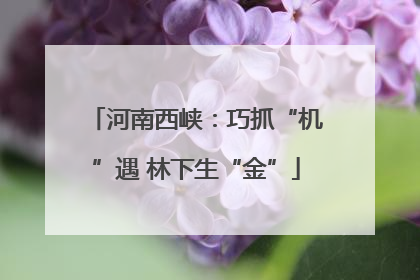 河南西峡：巧抓“机”遇 林下生“金”