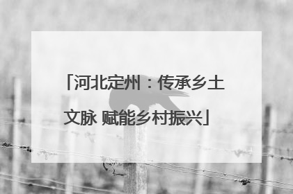 河北定州：传承乡土文脉 赋能乡村振兴