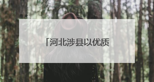 河北涉县以优质普惠幼有善育为不懈追求——让山里娃眼眸有星光