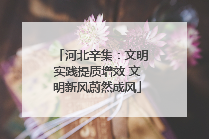 河北辛集：文明实践提质增效 文明新风蔚然成风