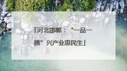 河北邯郸：“一品一播”兴产业惠民生
