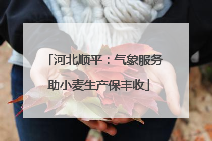 河北顺平：气象服务助小麦生产保丰收