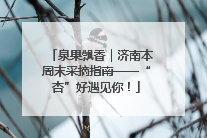 泉果飘香｜济南本周末采摘指南——“杏”好遇见你！