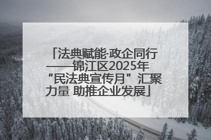 法典赋能·政企同行——锦江区2025年“民法典宣传月”汇聚力量 助推企业发展