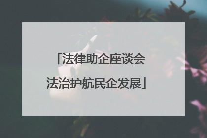 法律助企座谈会 法治护航民企发展