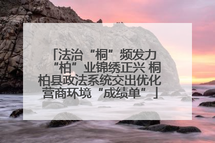 法治“桐”频发力 “柏”业锦绣正兴 桐柏县政法系统交出优化营商环境“成绩单”