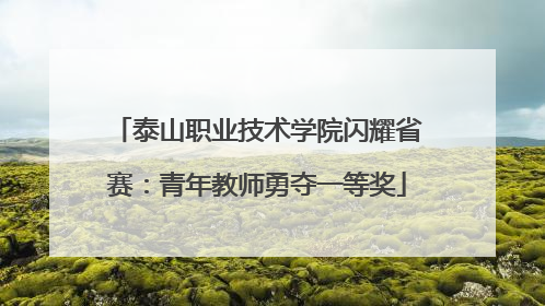 泰山职业技术学院闪耀省赛：青年教师勇夺一等奖