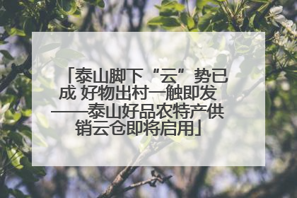 泰山脚下“云”势已成 好物出村一触即发——泰山好品农特产供销云仓即将启用
