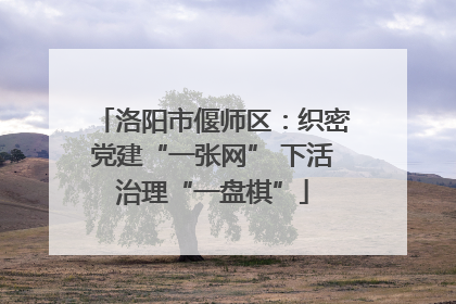 洛阳市偃师区：织密党建“一张网” 下活治理“一盘棋”