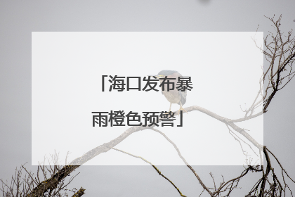 海口发布暴雨橙色预警