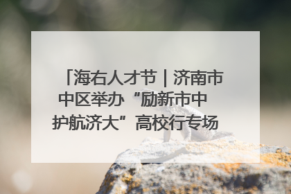 海右人才节｜济南市中区举办“励新市中 护航济大”高校行专场活动暨“青年人才 乐享市中”品牌推介会