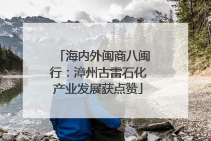 海内外闽商八闽行：漳州古雷石化产业发展获点赞
