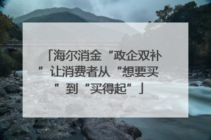 海尔消金“政企双补”让消费者从“想要买”到“买得起”