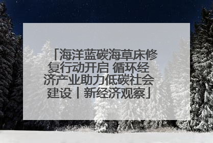 海洋蓝碳海草床修复行动开启 循环经济产业助力低碳社会建设丨新经济观察