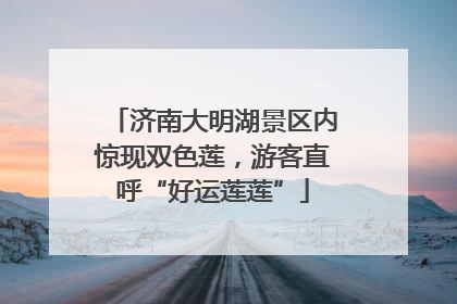 济南大明湖景区内惊现双色莲，游客直呼“好运莲莲”