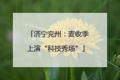 济宁兖州：麦收季上演“科技秀场”