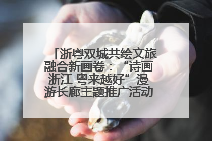 浙粤双城共绘文旅融合新画卷：“诗画浙江 粤来越好”漫游长廊主题推广活动在广州花城汇启幕