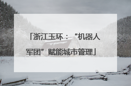 浙江玉环：“机器人军团”赋能城市管理