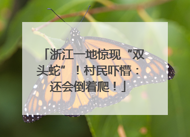 浙江一地惊现“双头蛇”！村民吓懵：还会倒着爬！