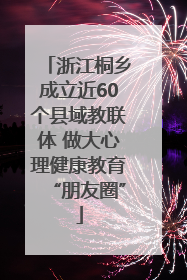 浙江桐乡成立近60个县域教联体 做大心理健康教育“朋友圈”
