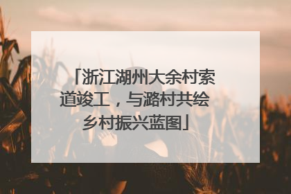 浙江湖州大余村索道竣工，与潞村共绘乡村振兴蓝图