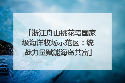 浙江舟山桃花岛国家级海洋牧场示范区：统战力量赋能海岛共富