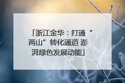 浙江金华：打通“两山”转化通道 澎湃绿色发展动能