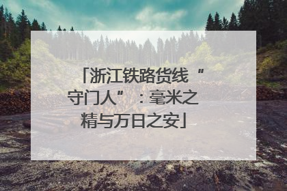 浙江铁路货线“守门人”：毫米之精与万日之安