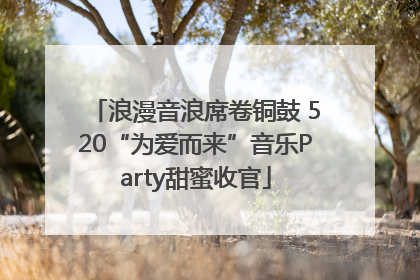 浪漫音浪席卷铜鼓 520“为爱而来”音乐Party甜蜜收官
