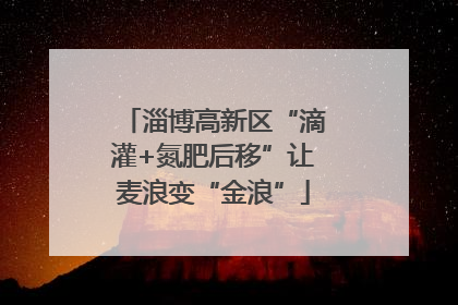 淄博高新区“滴灌+氮肥后移”让麦浪变“金浪”