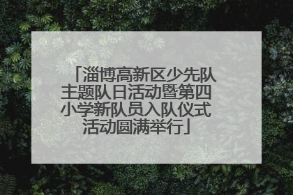 淄博高新区少先队主题队日活动暨第四小学新队员入队仪式活动圆满举行