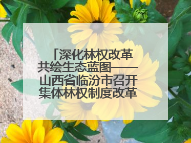 深化林权改革 共绘生态蓝图——山西省临汾市召开集体林权制度改革专题研讨会