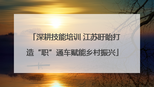 深耕技能培训 江苏盱眙打造“职”通车赋能乡村振兴