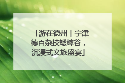 游在德州｜宁津德百杂技蟋蟀谷，沉浸式文旅盛宴