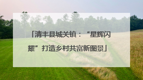 清丰县城关镇：“星辉闪耀”打造乡村共富新图景