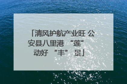 清风护航产业旺 公安县八里港 “莲” 动好 “丰” 景