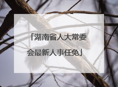 湖南省人大常委会最新人事任免