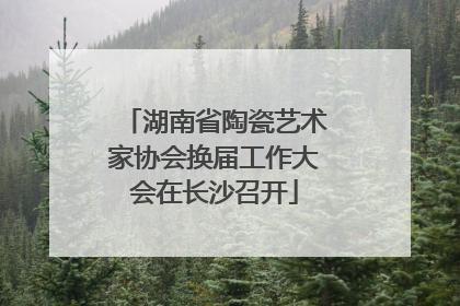 湖南省陶瓷艺术家协会换届工作大会在长沙召开