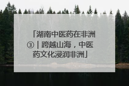 湖南中医药在非洲③｜跨越山海，中医药文化浸润非洲
