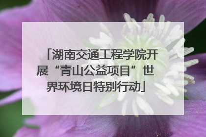湖南交通工程学院开展“青山公益项目”世界环境日特别行动