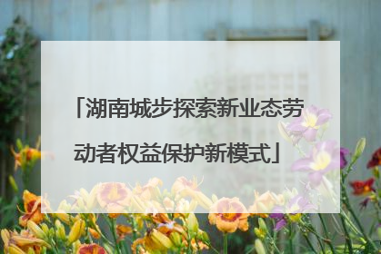 湖南城步探索新业态劳动者权益保护新模式