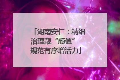 湖南安仁：精细治理靓“颜值” 规范有序增活力