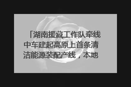 湖南援藏工作队牵线中车建起高原上首条清洁能源装配产线，本地大学生成车间检验员