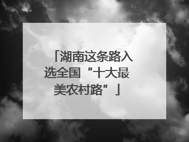 湖南这条路入选全国“十大最美农村路”