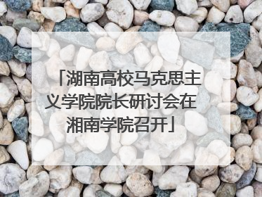湖南高校马克思主义学院院长研讨会在湘南学院召开
