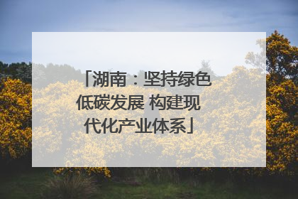 湖南：坚持绿色低碳发展 构建现代化产业体系
