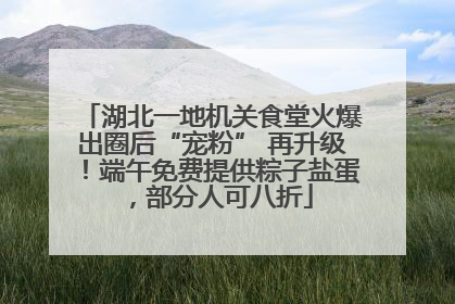 湖北一地机关食堂火爆出圈后“宠粉” 再升级！端午免费提供粽子盐蛋，部分人可八折