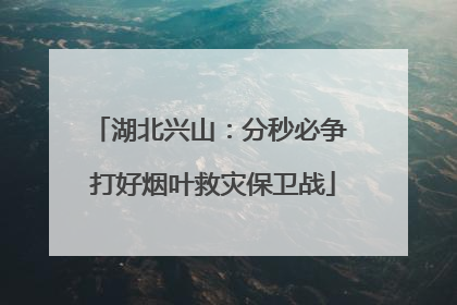 湖北兴山：分秒必争 打好烟叶救灾保卫战
